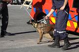 CAPTURE DU CHIEN 060